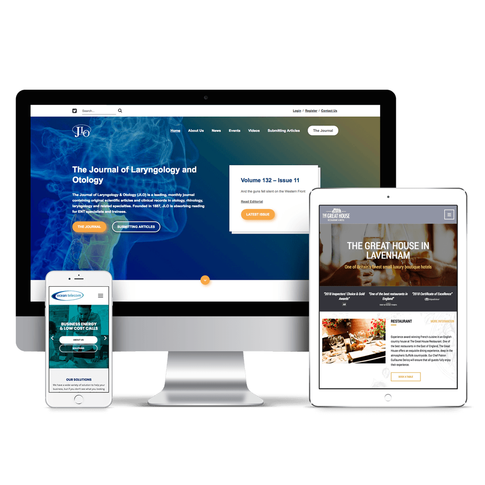 Professional Wordpress Web Design Service